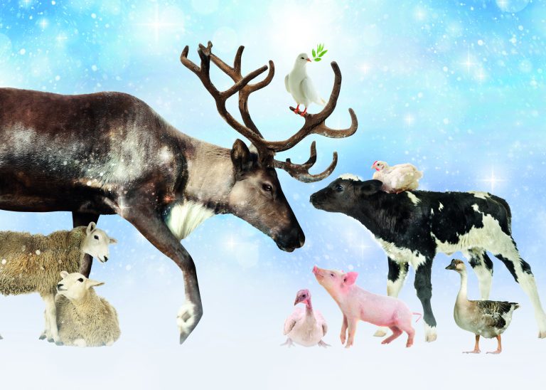 Vredesdienst voor dieren roept op om Kerst vleesloos te Vredesdienst voor dieren roept op om Kerst vleesloos te